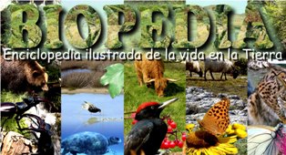 biodiversidad
